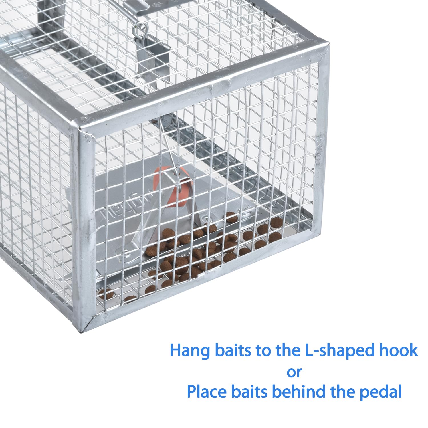 Gingbau humane traps with food bait for attraction