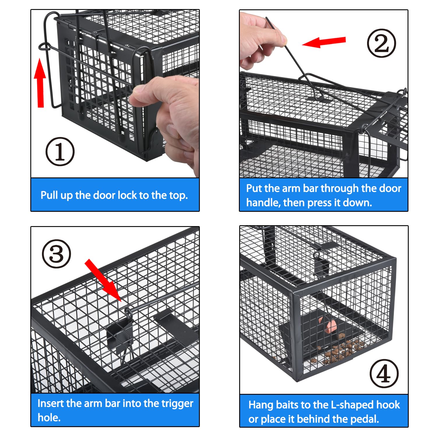 Gingbau Live Chipmunk Rat Trap dimensions displayed with a ruler