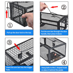 Gingbau Live Chipmunk Rat Trap dimensions displayed with a ruler