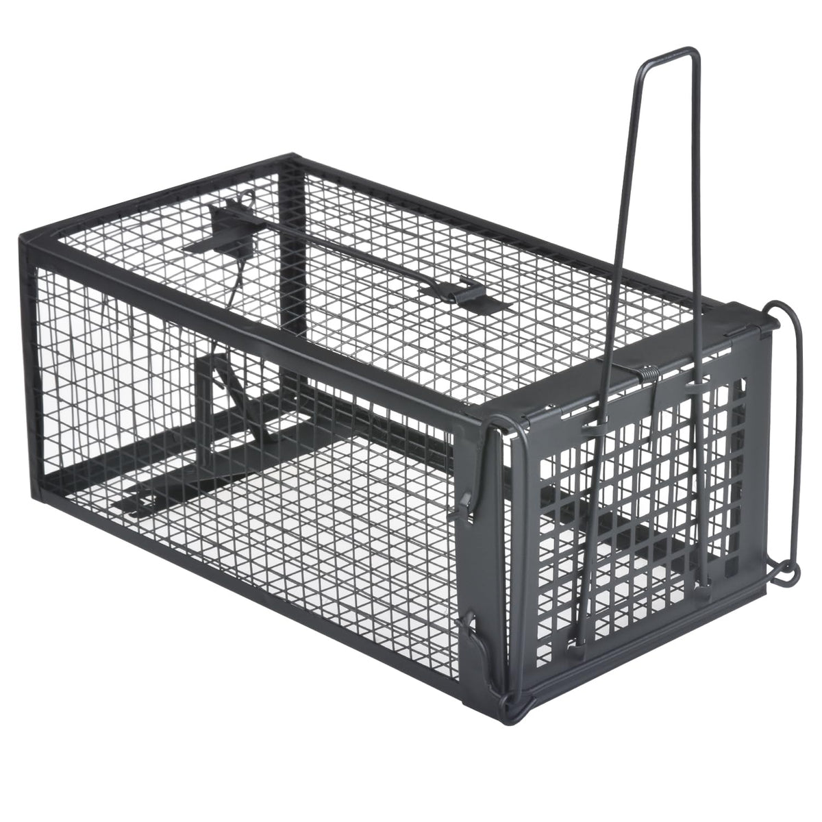 Gingbau Live Chipmunk Rat Trap front view, black galvanized iron