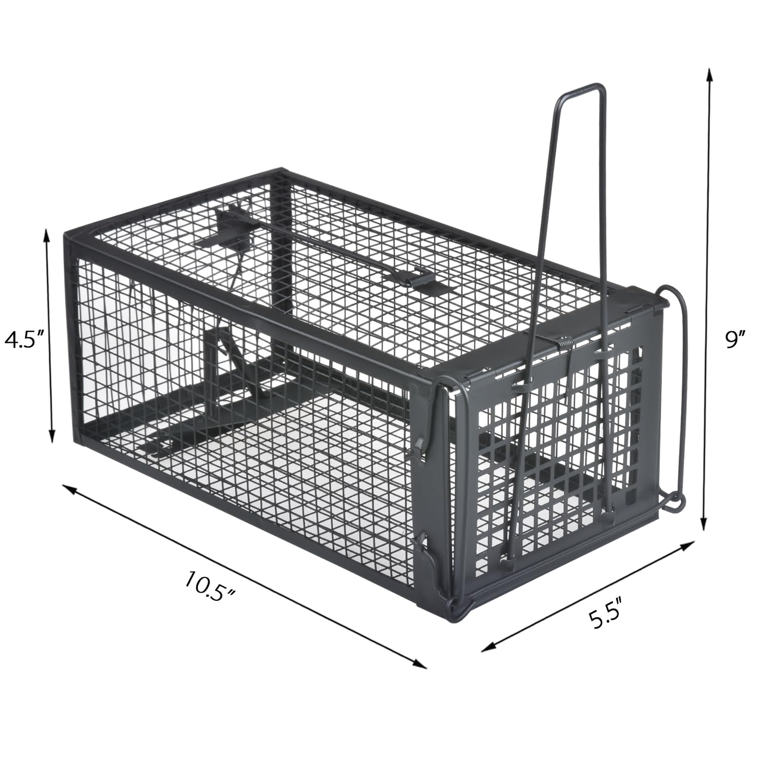 Gingbau Live Chipmunk Rat Trap opened showing interior mechanism