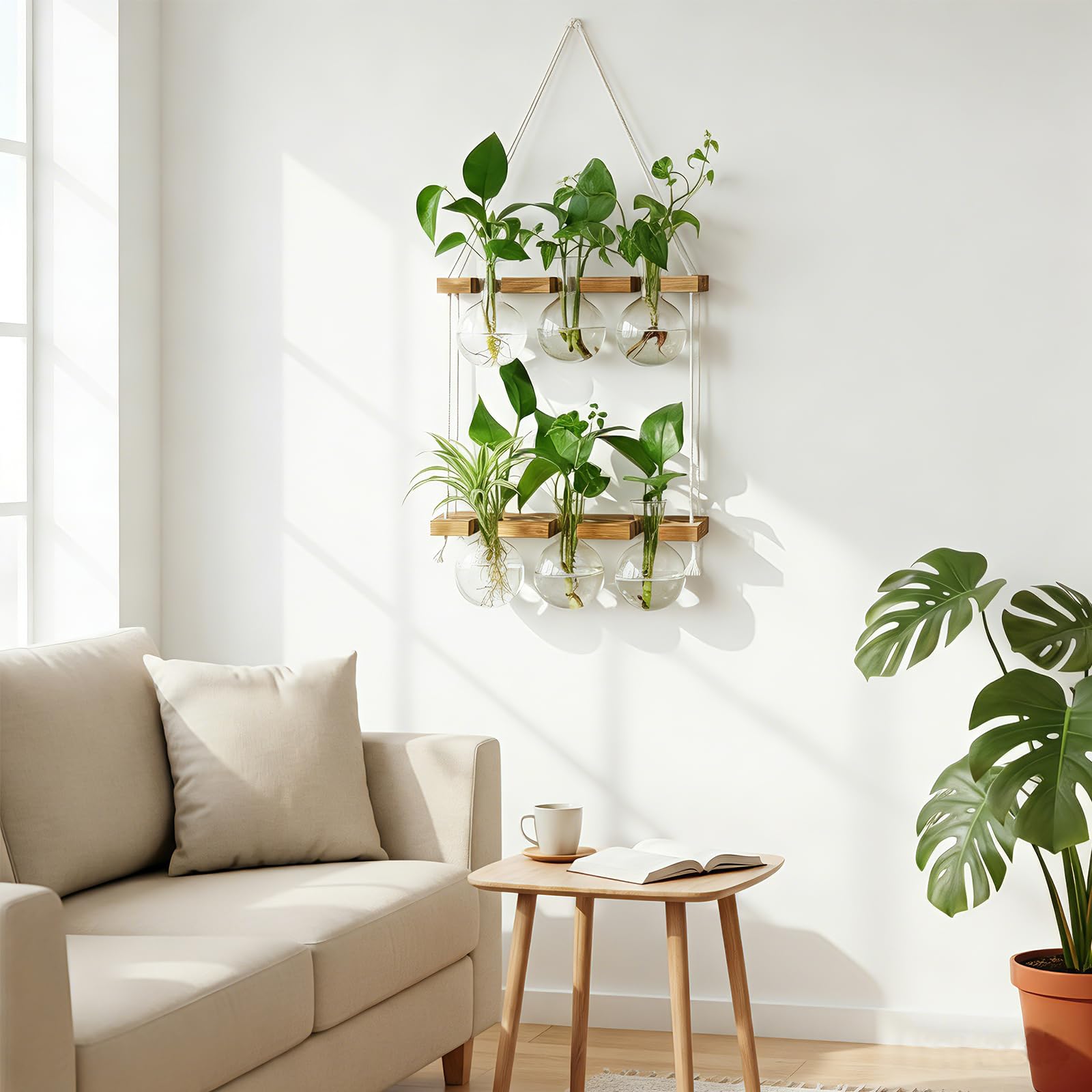 Glass vases of the propagation station filled with plant cuttings