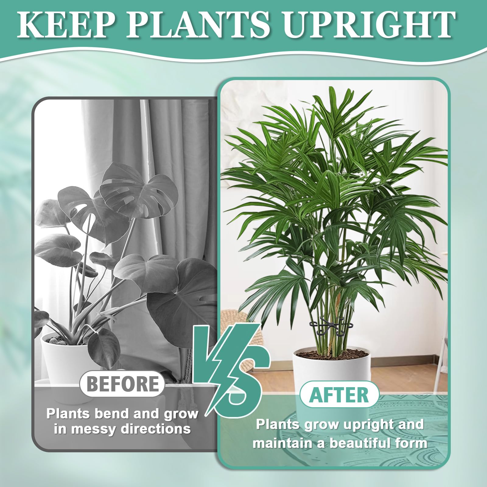 GLCSC Plant Stem Support 3.07 inch size
