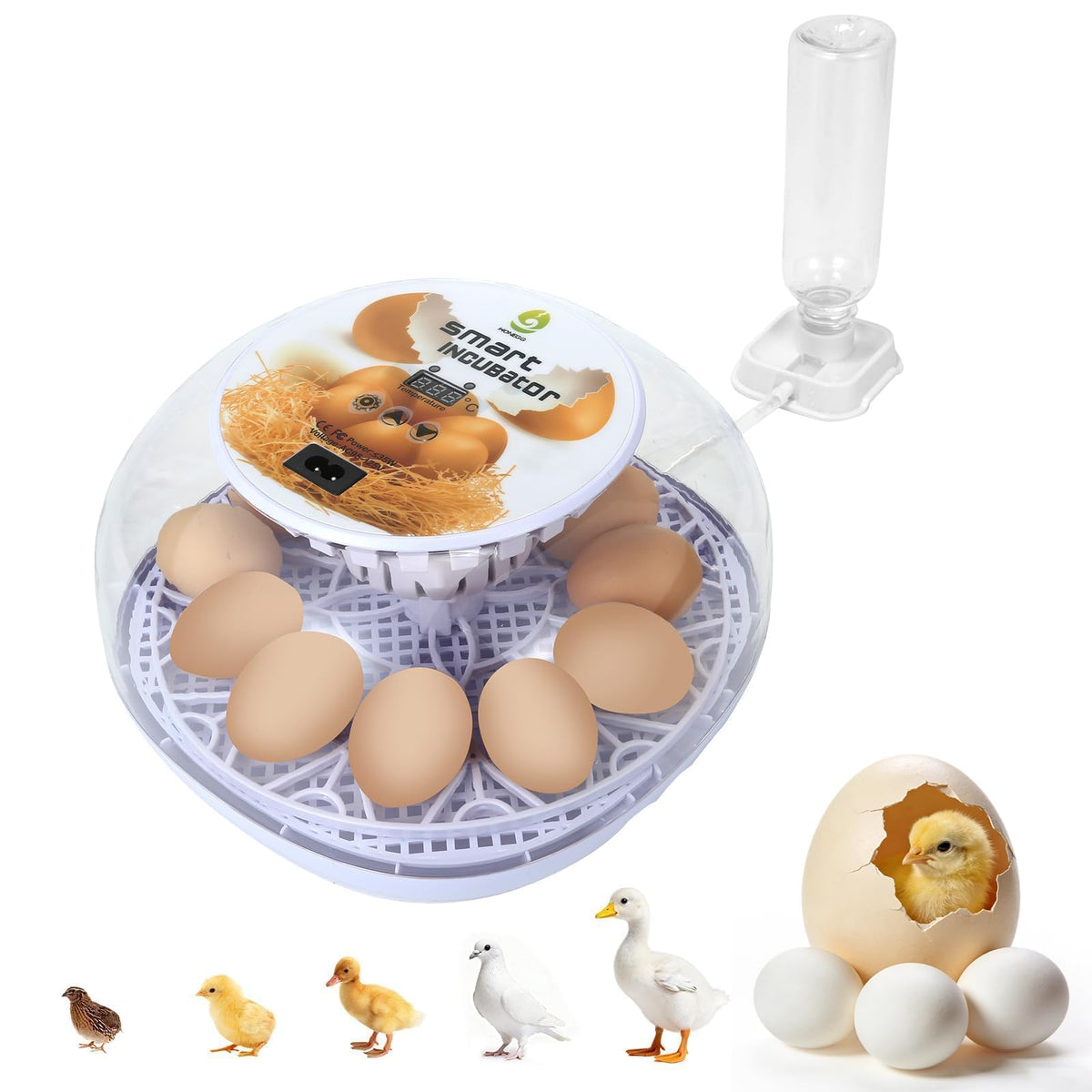 GleeGearNex 12 Egg Automatic Incubator front view