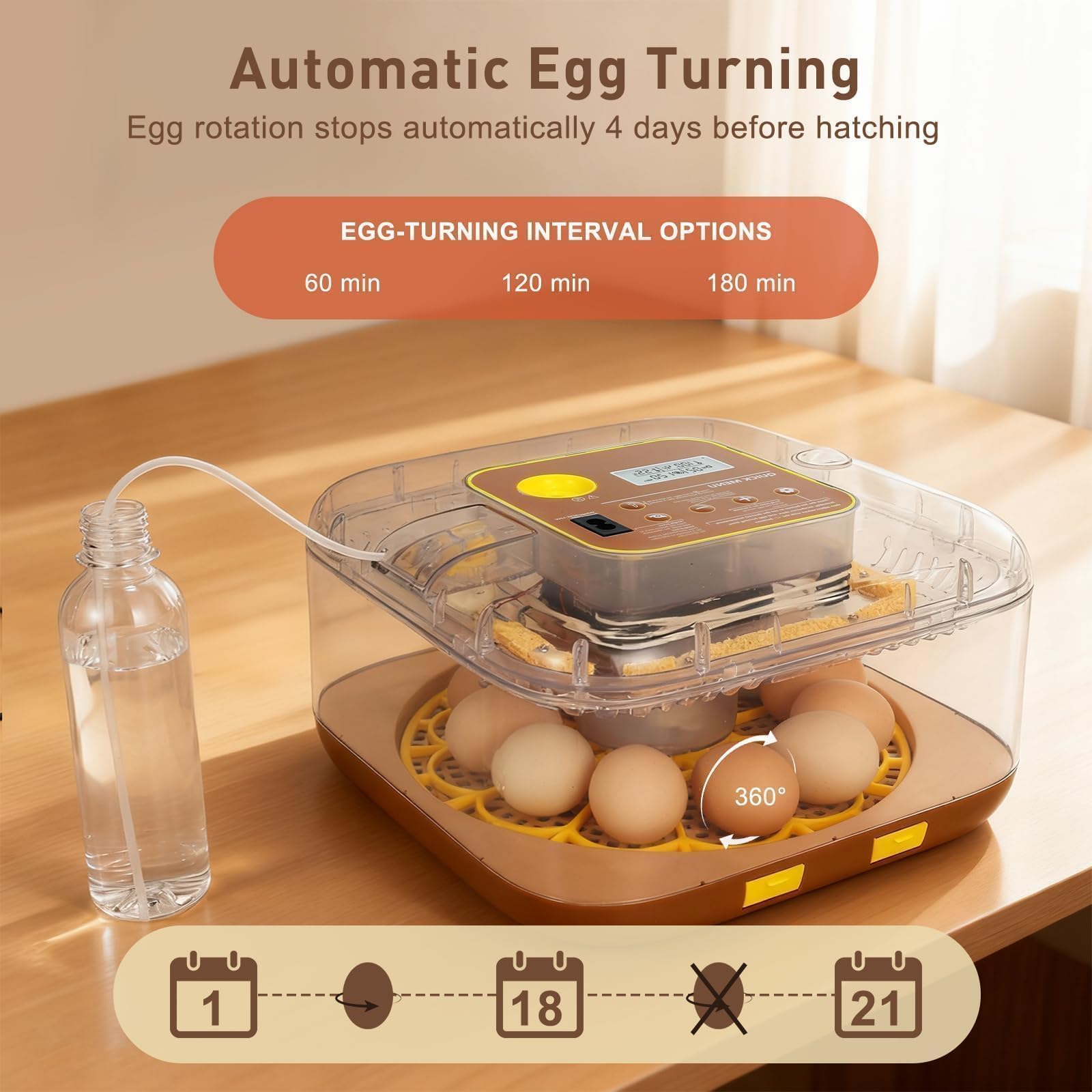 GleeGearNex Gen IV 12 Egg Incubator features close-up