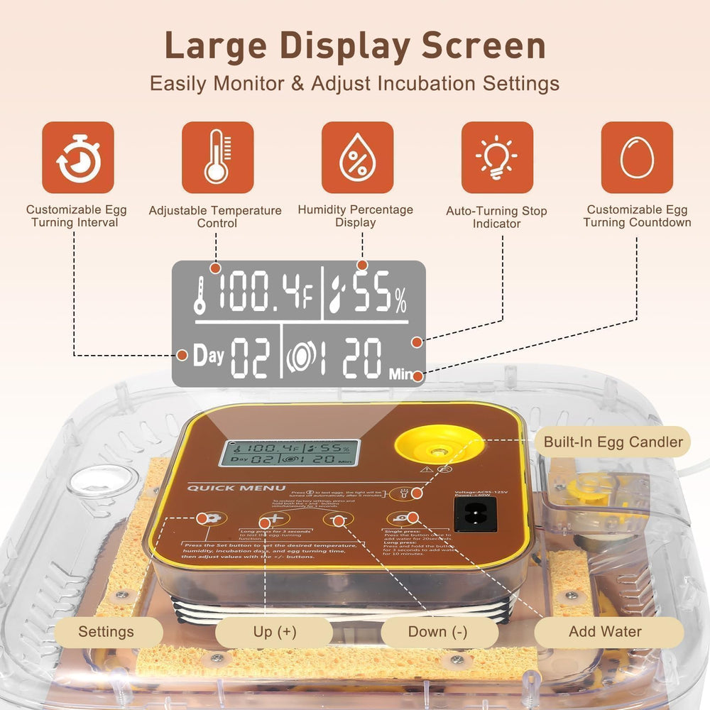 GleeGearNex Gen IV 12 Egg Incubator transparent lid