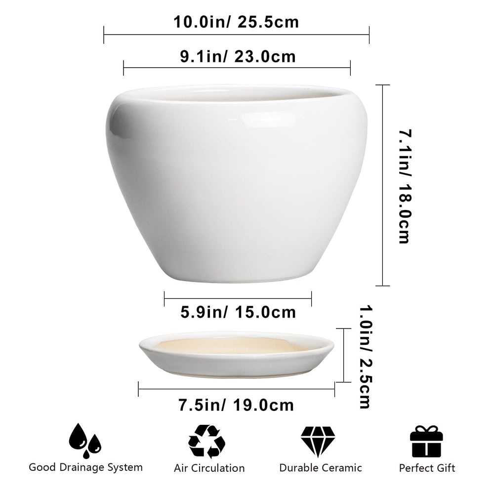 Glossy white ceramic planter with indoor plants