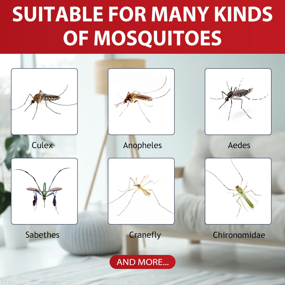 Glovv Bug Mosquito Zapper Lures in outdoor garden setting