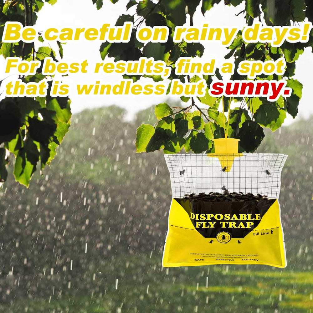 Glovv fly trap bag hanging from a tree branch