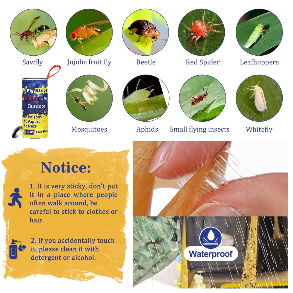 Glovv Fly Trap Strips showing adhesive quality