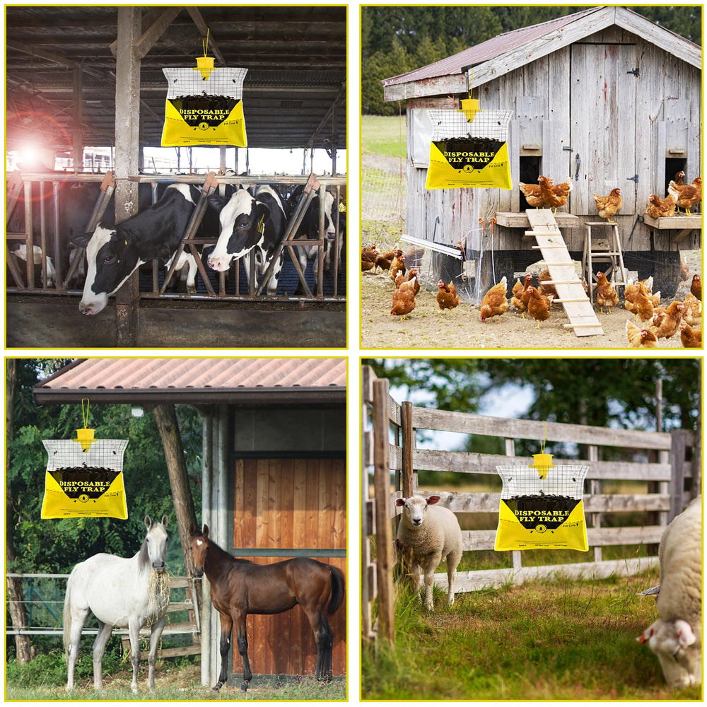 Glovv fly traps hanging in a livestock area