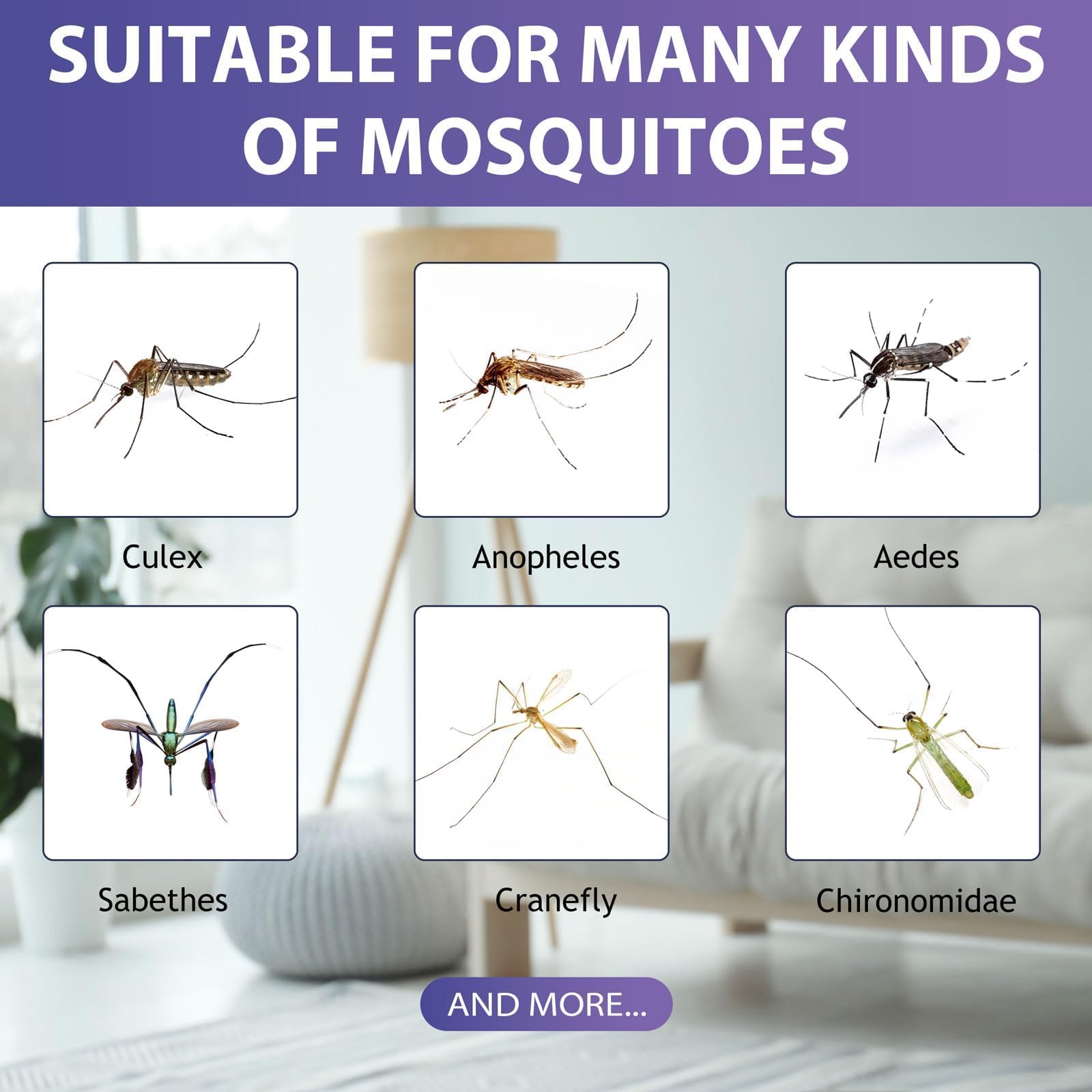 Glovv mosquito attractant bait refill with garden background