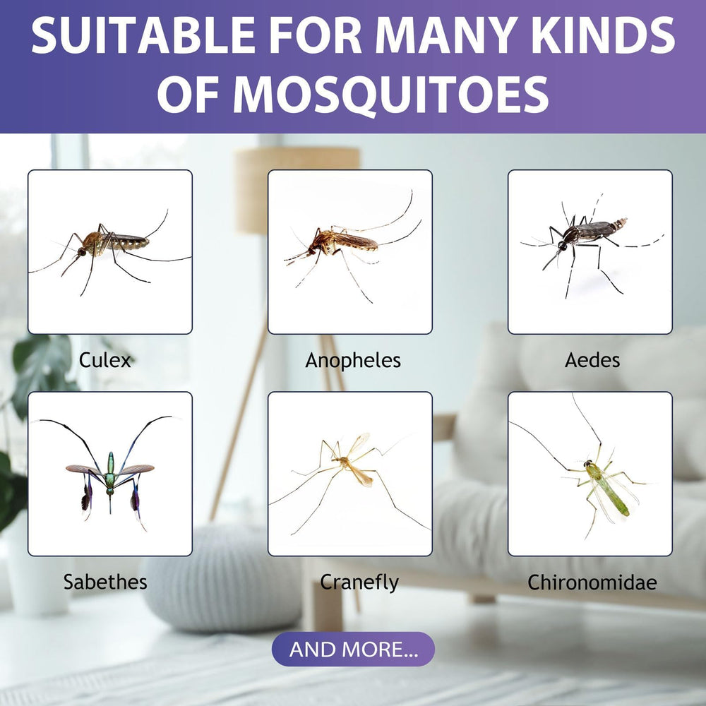 Glovv mosquito attractant bait refill with garden background