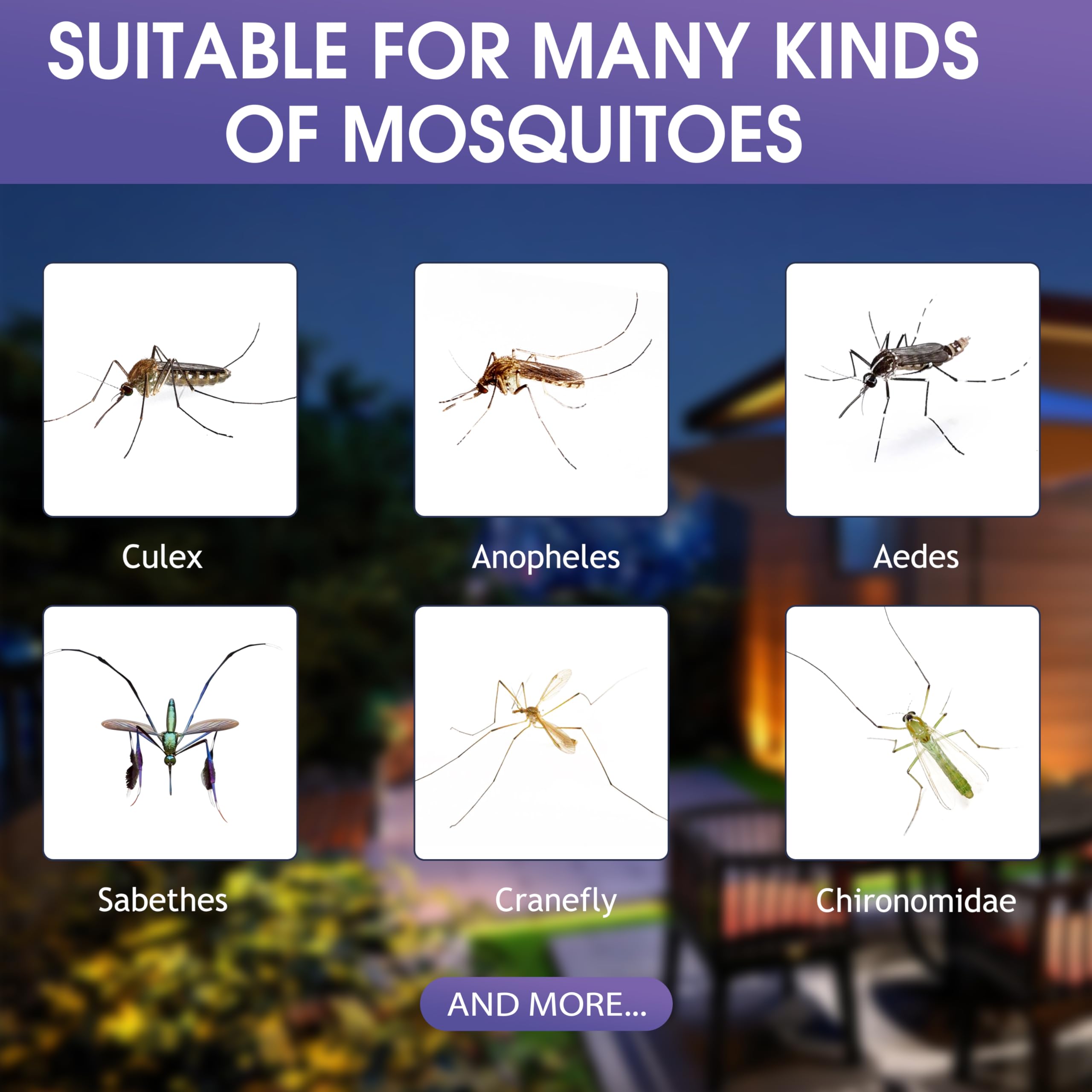 Glovv mosquito attractant cartridges in use