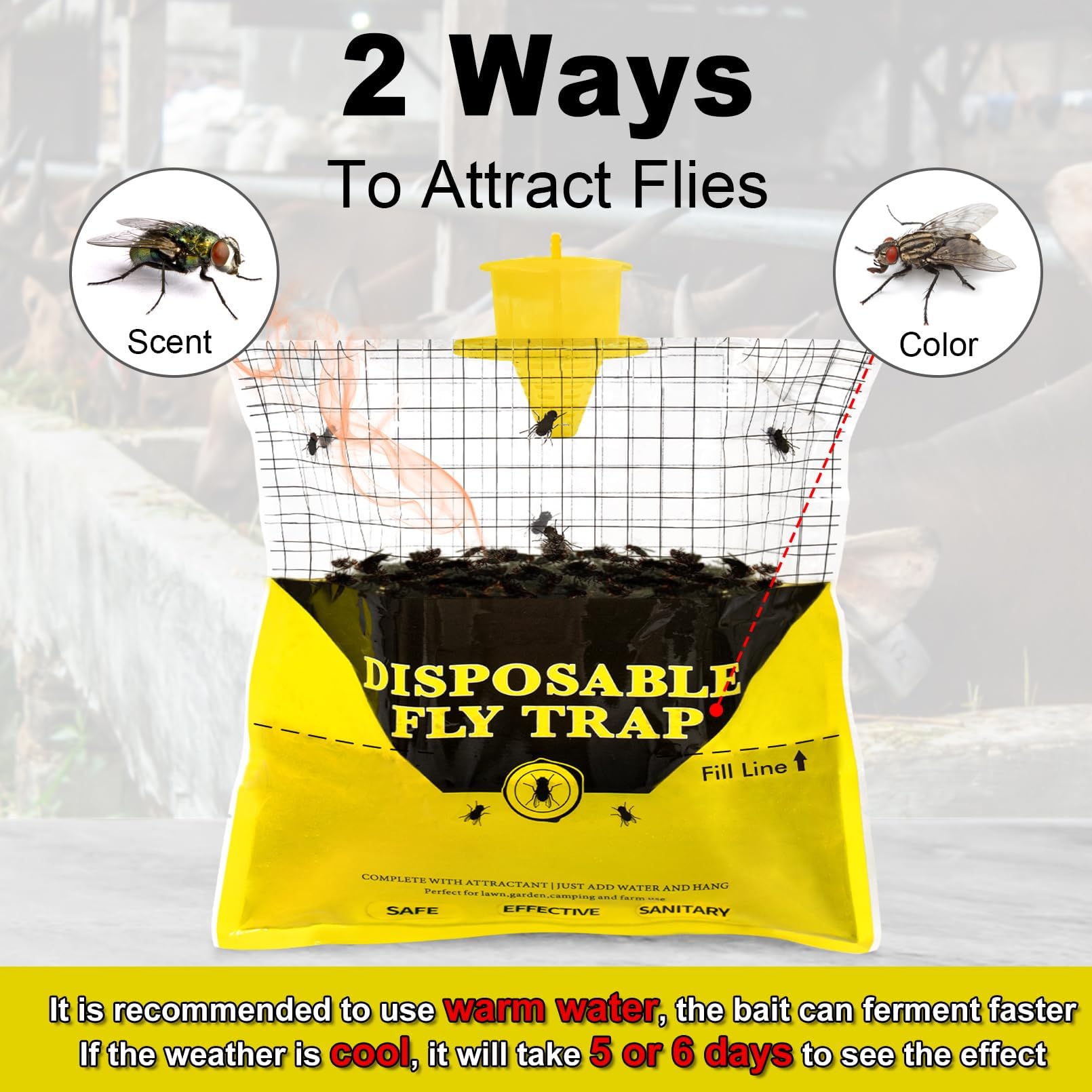Glovv Outdoor Fly Trap hanging in a garden