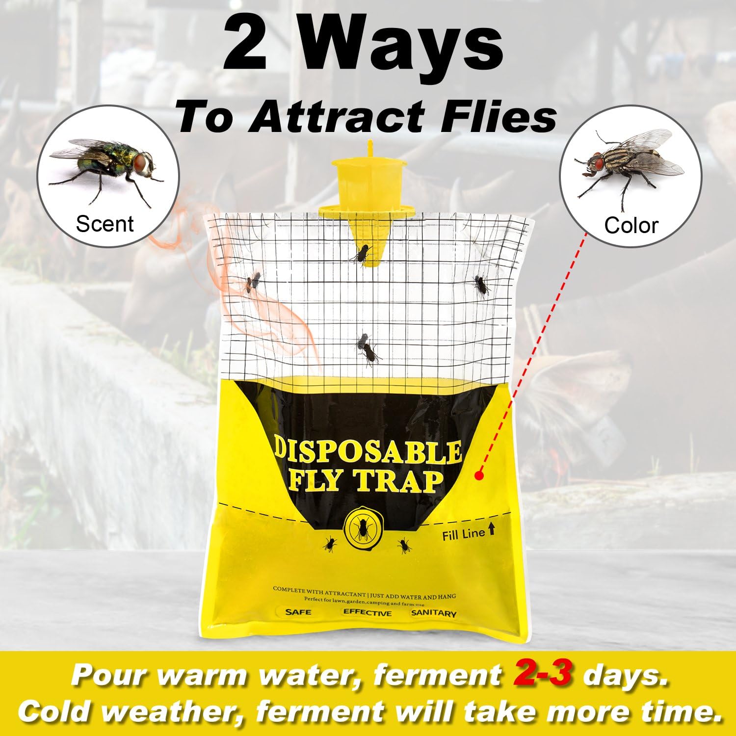 Glovv Outdoor Fly Trap hanging in sunny outdoor setting