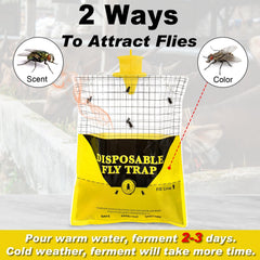 Glovv Outdoor Fly Trap hanging in sunny outdoor setting