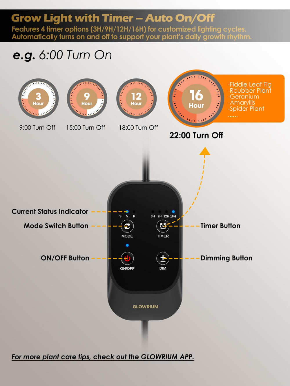 GLOWRIUM 48W Grow Light showing timer settings