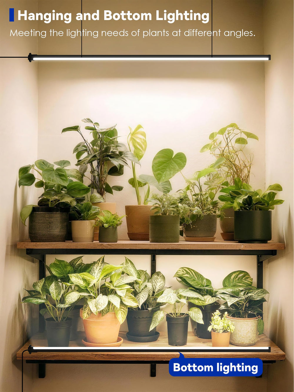 GLOWRIUM 60in Vertical Grow Light package dimensions