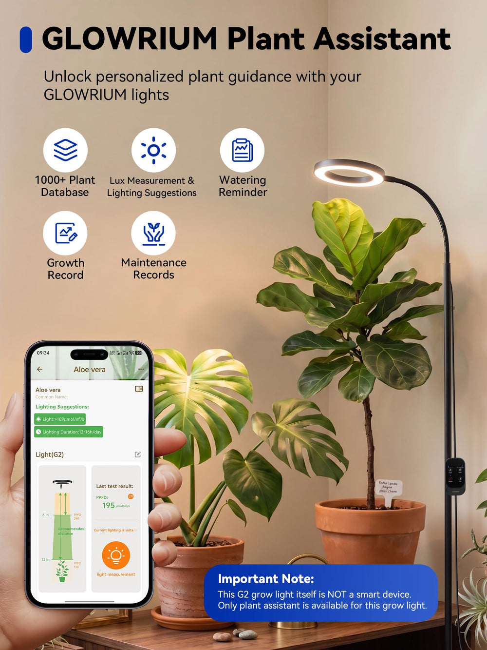 GLOWRIUM Grow Light in a stylish living room setting