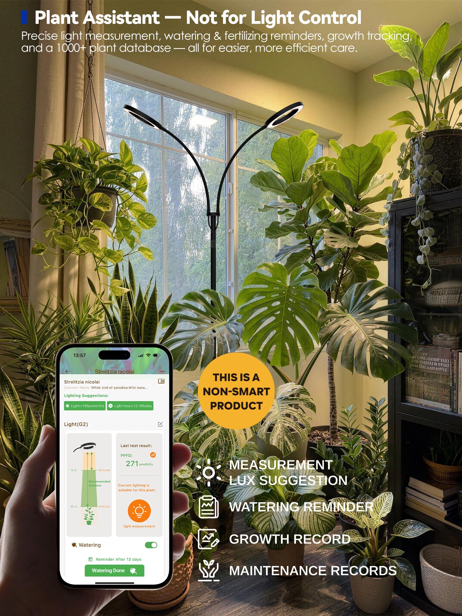 GLOWRIUM Grow Light in indoor living room setting