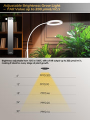 GLOWRIUM grow light in use with indoor plants