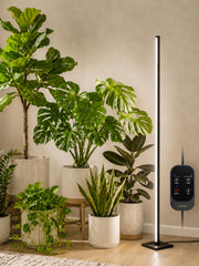 GLOWRIUM Vertical Grow Light 60in standing lamp with black finish
