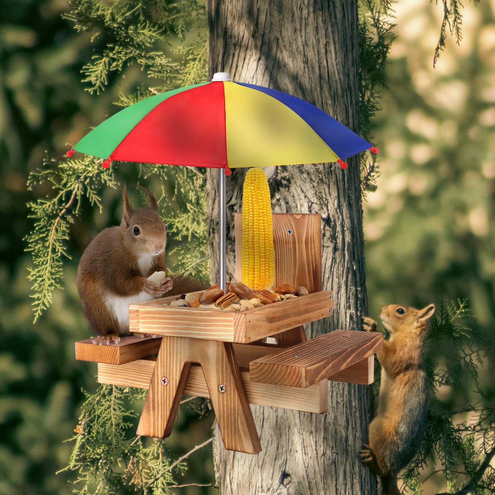 Gnodry Squirrel Feeder in Garden Setting
