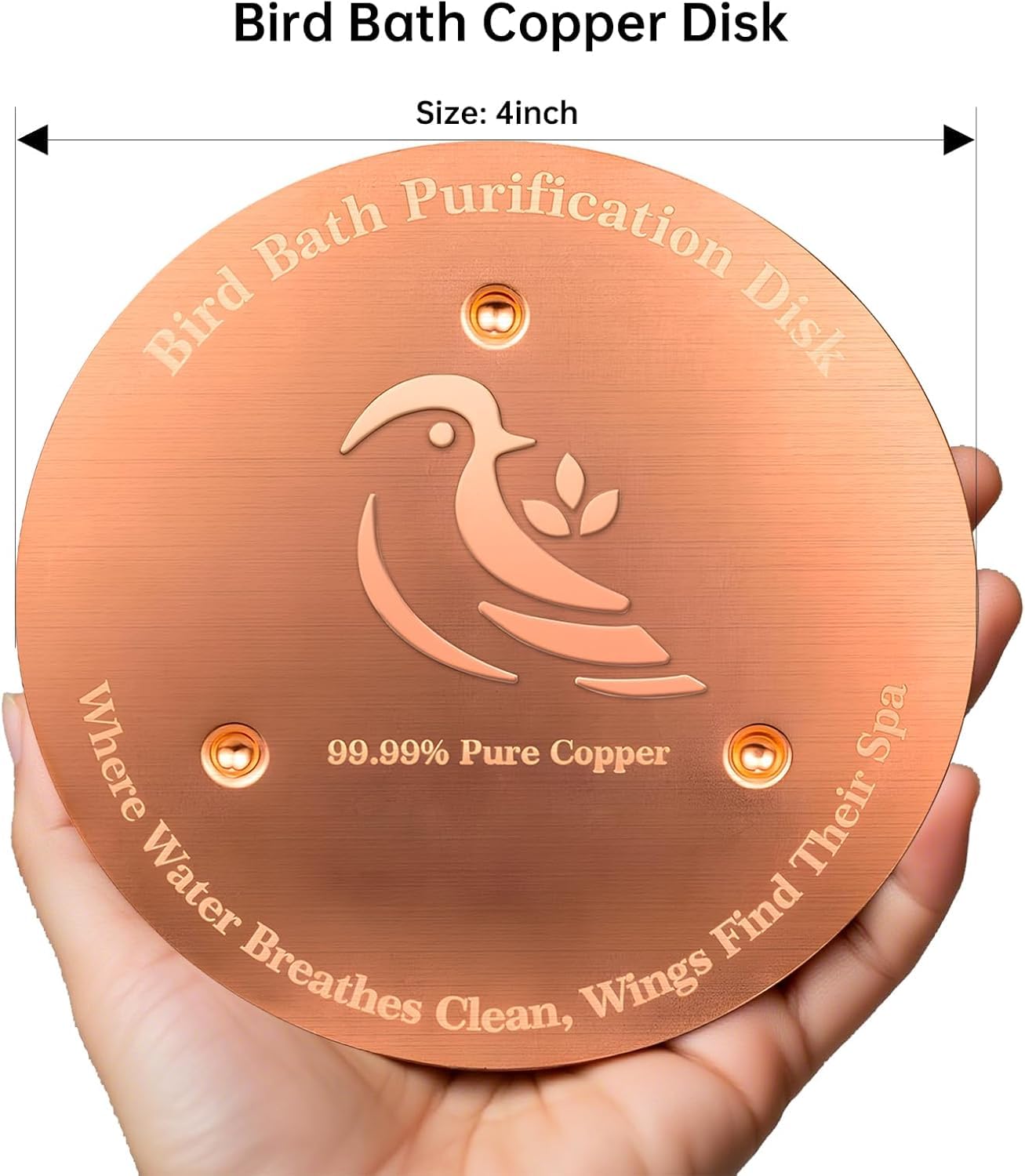 Golden Ulycon copper disc on a wooden surface