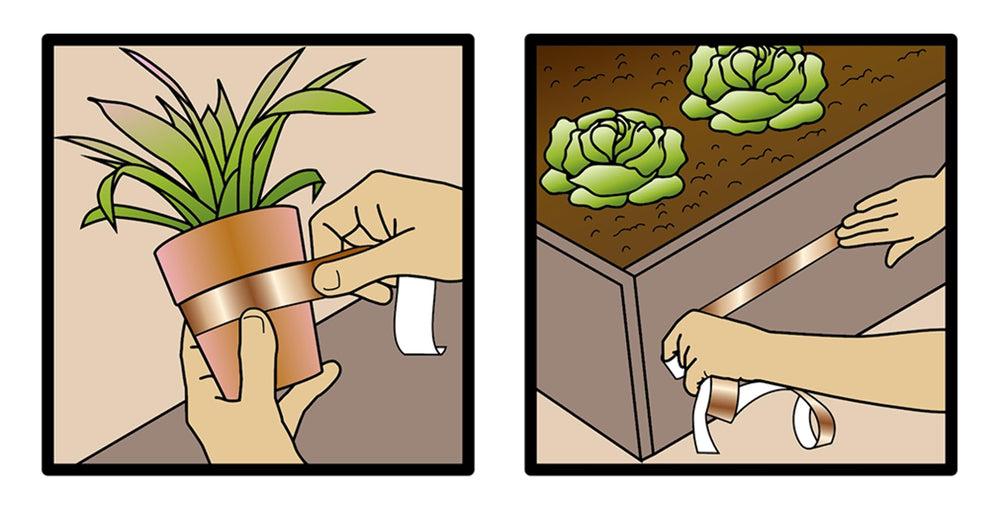 GONZO Copper Stopper Tape application on garden bed