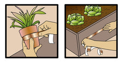GONZO Copper Stopper Tape application on garden bed