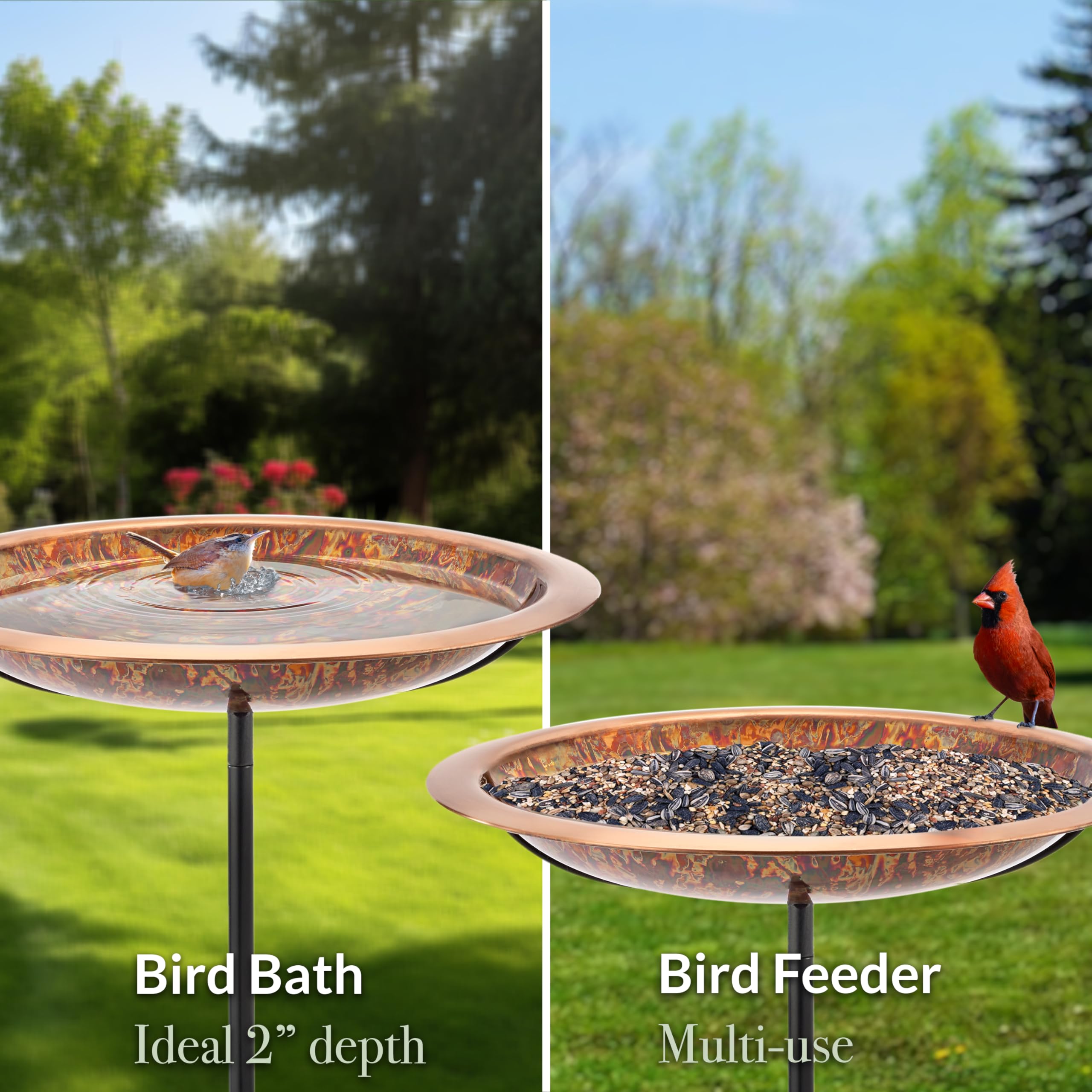 Good Directions Bird Bath with birds bathing