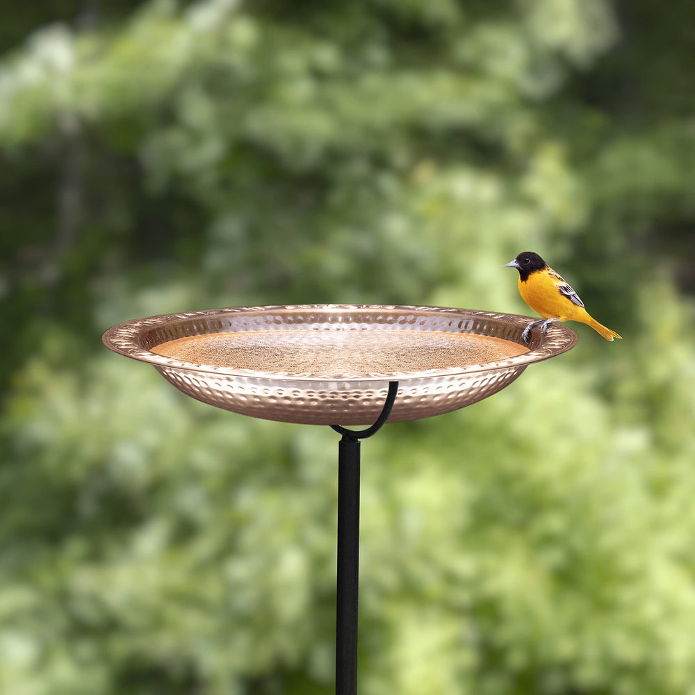 Good Directions Copper Bird Bath in a garden setting