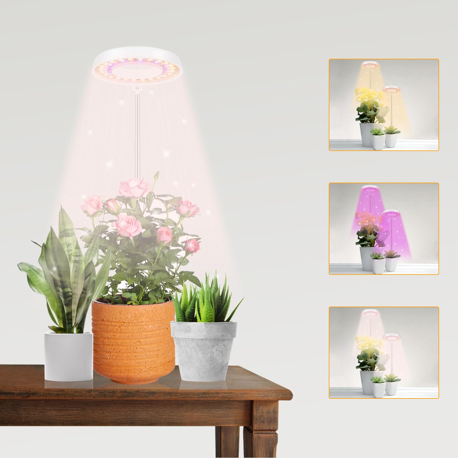 GooingTop LED Grow Light Halo Lamp with adjustable height