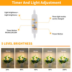 GooingTop LED Grow Light installed in a small potted plant