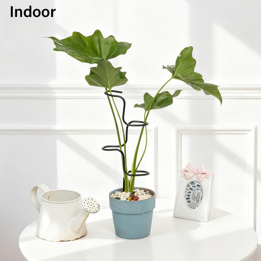Goooxim Indoor Plant Support Stakes displaying their height and design