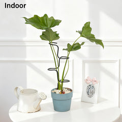 Goooxim Indoor Plant Support Stakes displaying their height and design