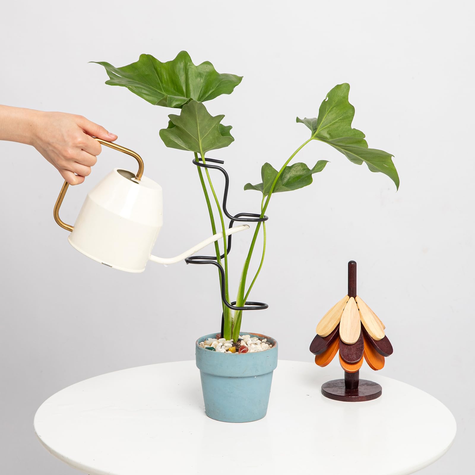 Goooxim Indoor Plant Support Stakes in indoor garden setting