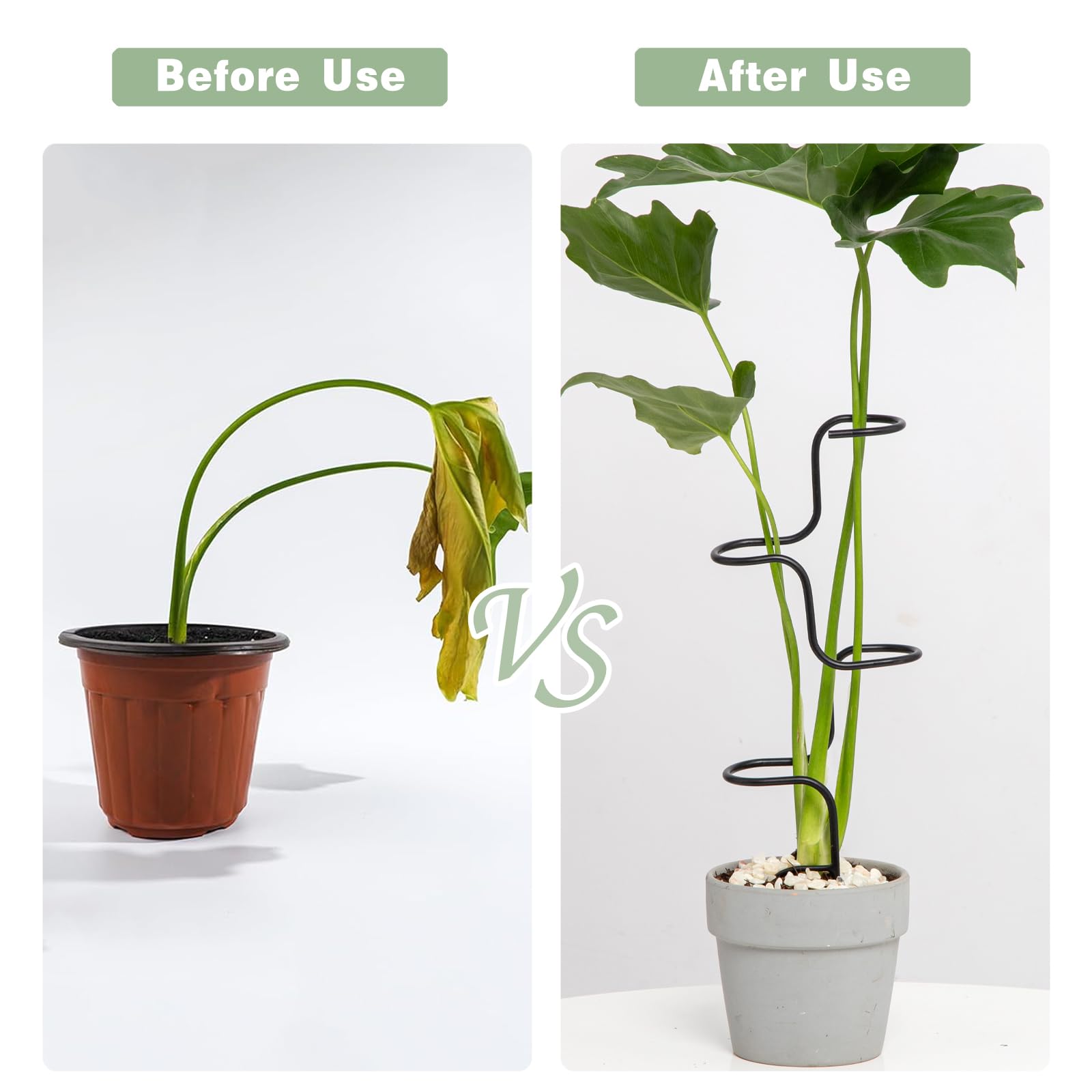 Goooxim Indoor Plant Support Stakes inserted into pot with flowers