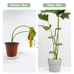 Goooxim Indoor Plant Support Stakes inserted into pot with flowers