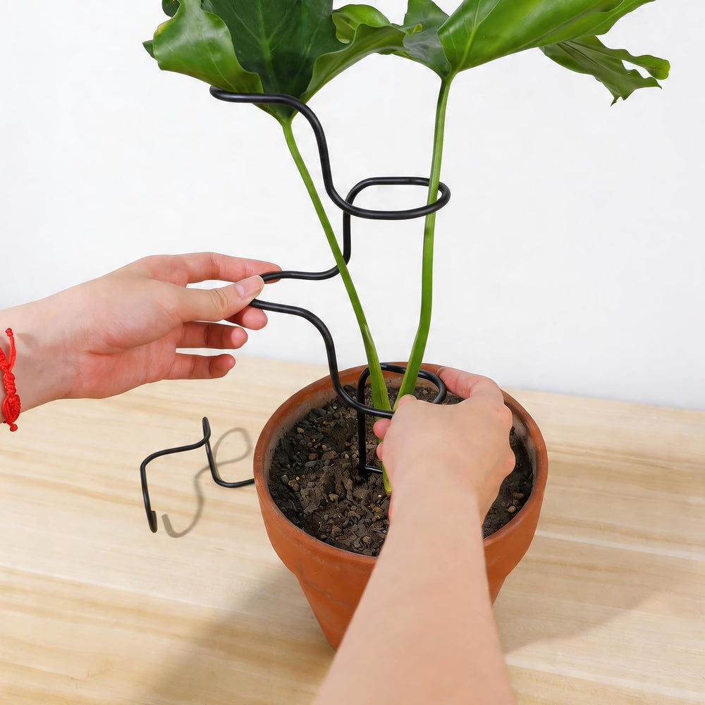 Goooxim Indoor Plant Support Stakes next to potted herbs