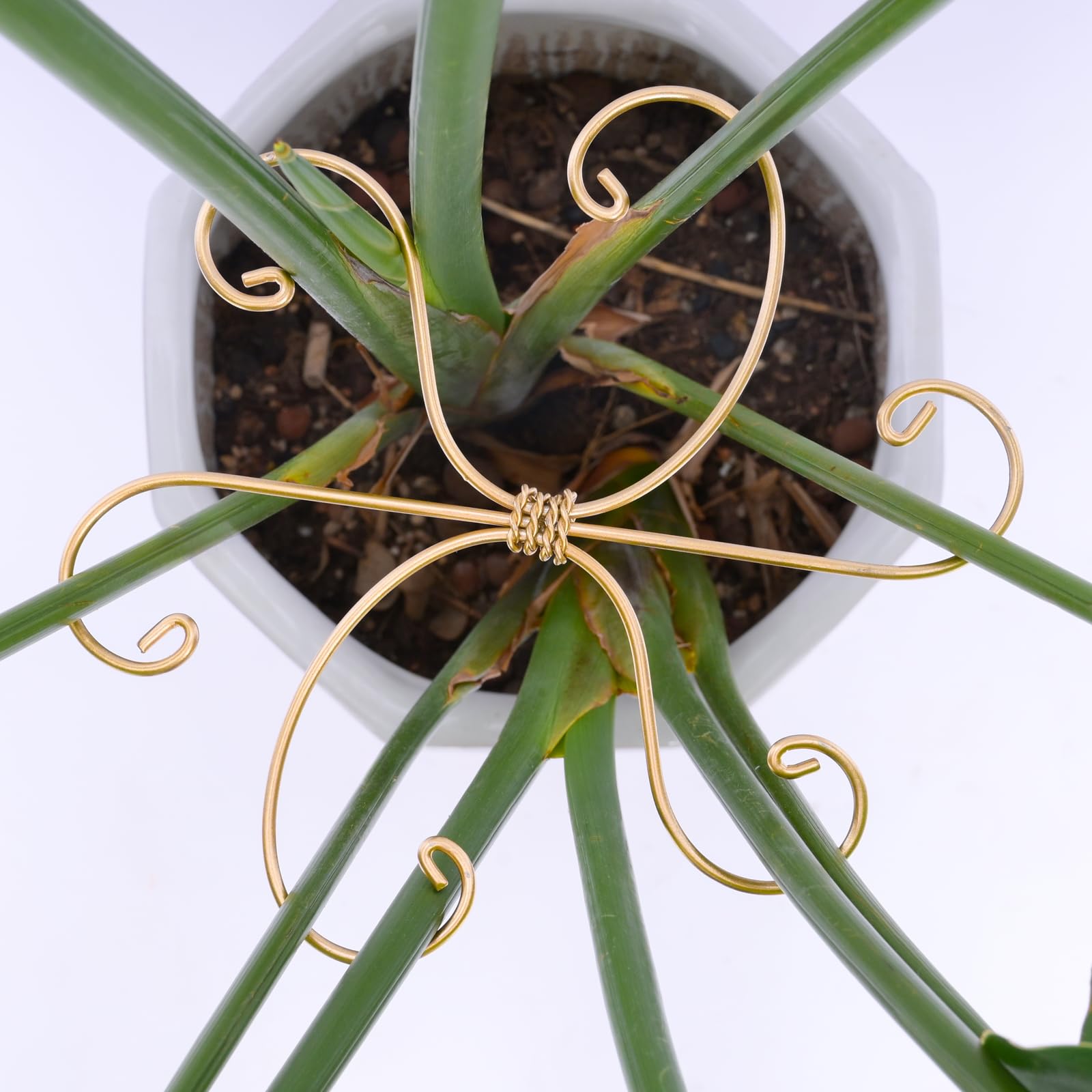 Goooxim Monstera Plant Support Hook Set front view, 5PCS