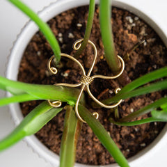 Goooxim Monstera Plant Support Hook set of five, front view