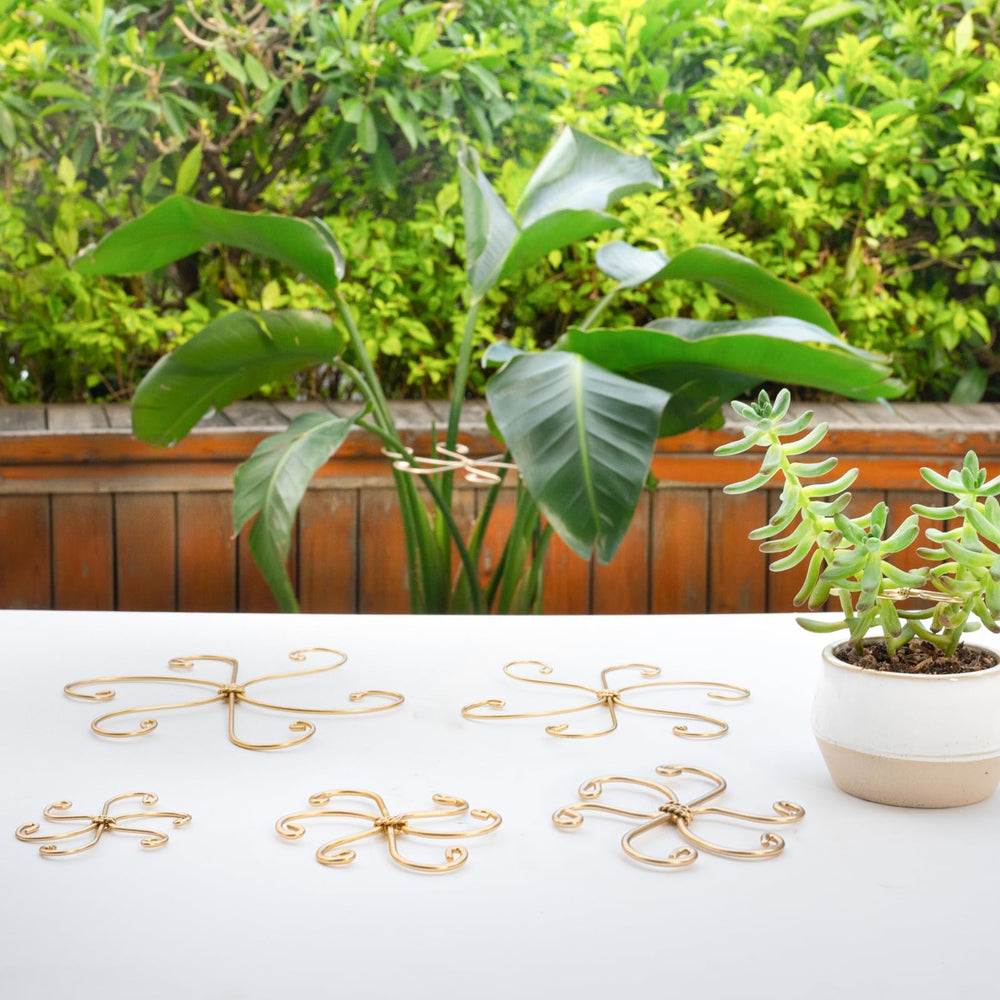 Goooxim Monstera Plant Support Hook set packaging