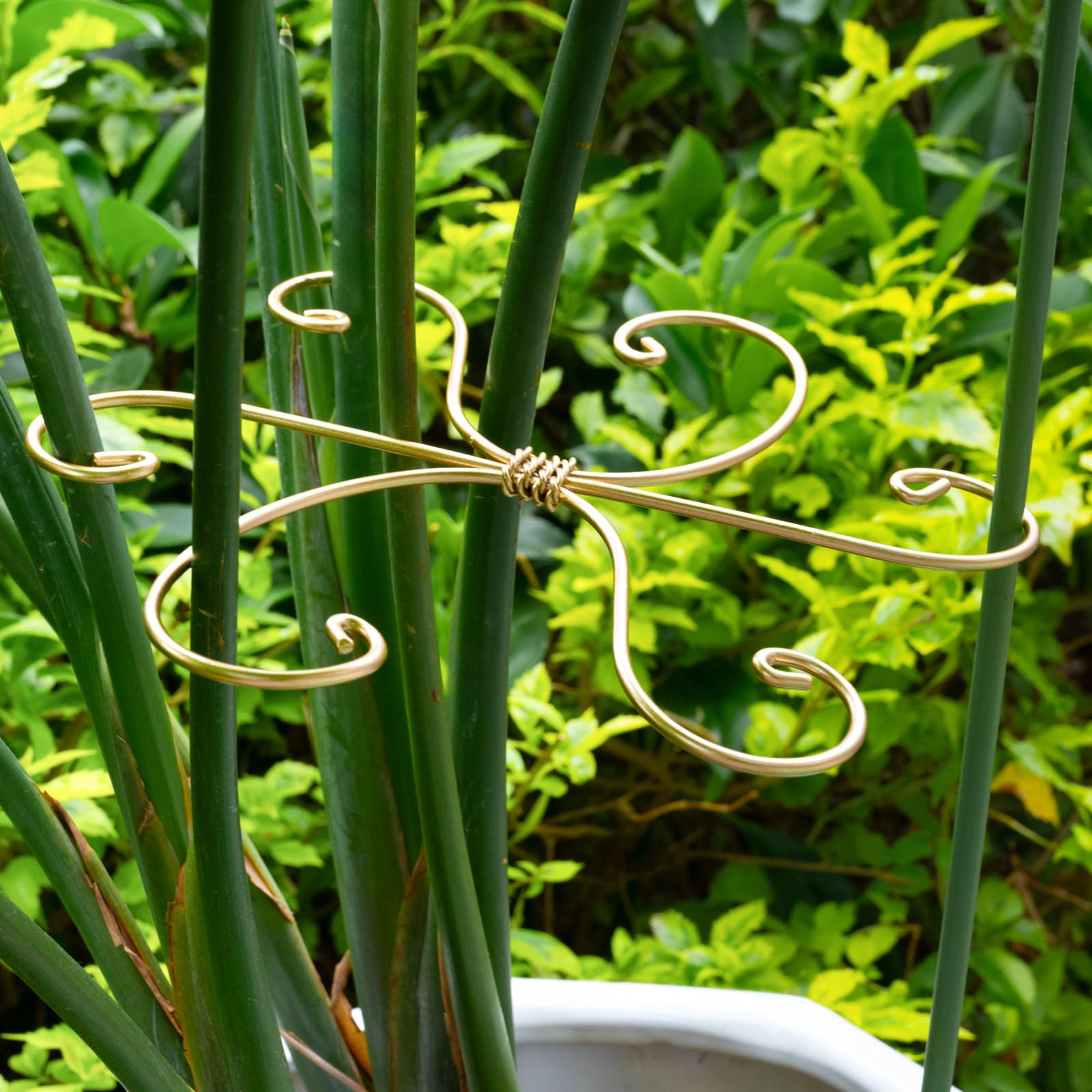 Goooxim Monstera Plant Support Hooks close-up showing soft-touch design