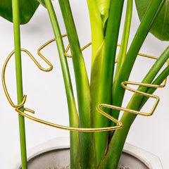 Goooxim Monstera Plant Support Stem front view in gold