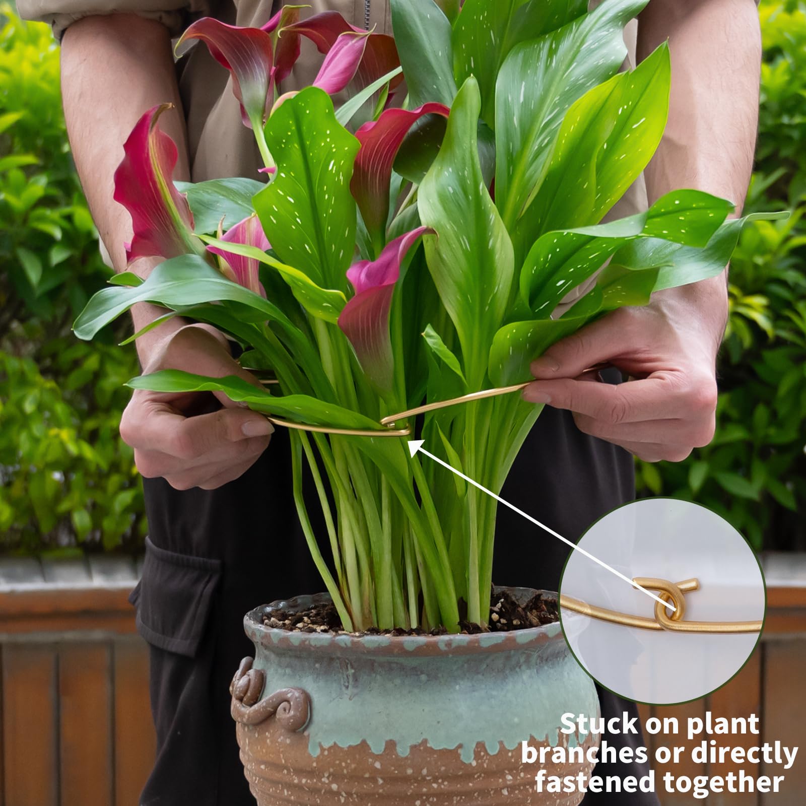 Goooxim Monstera Plant Support Stem installed in a garden setting