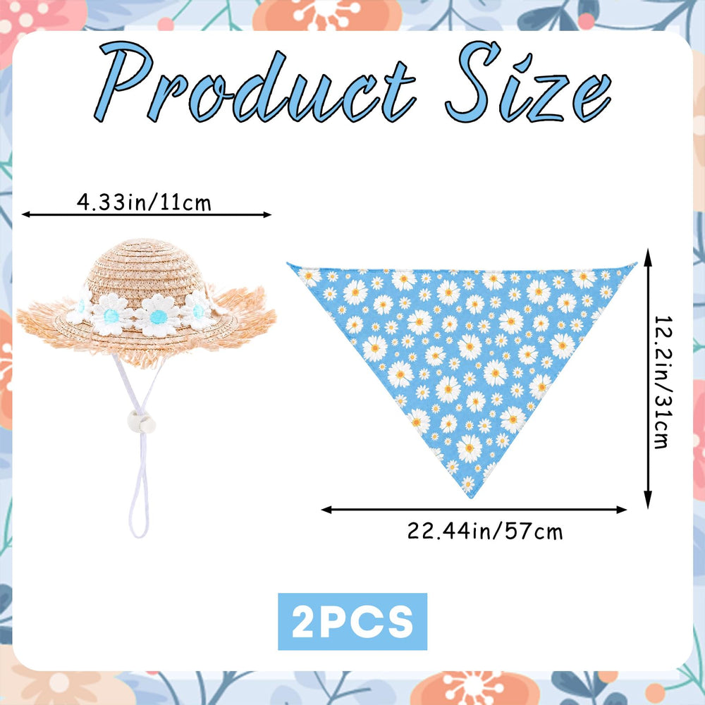 GOOSE_C0200338_5ZH blue daisy costume packaging