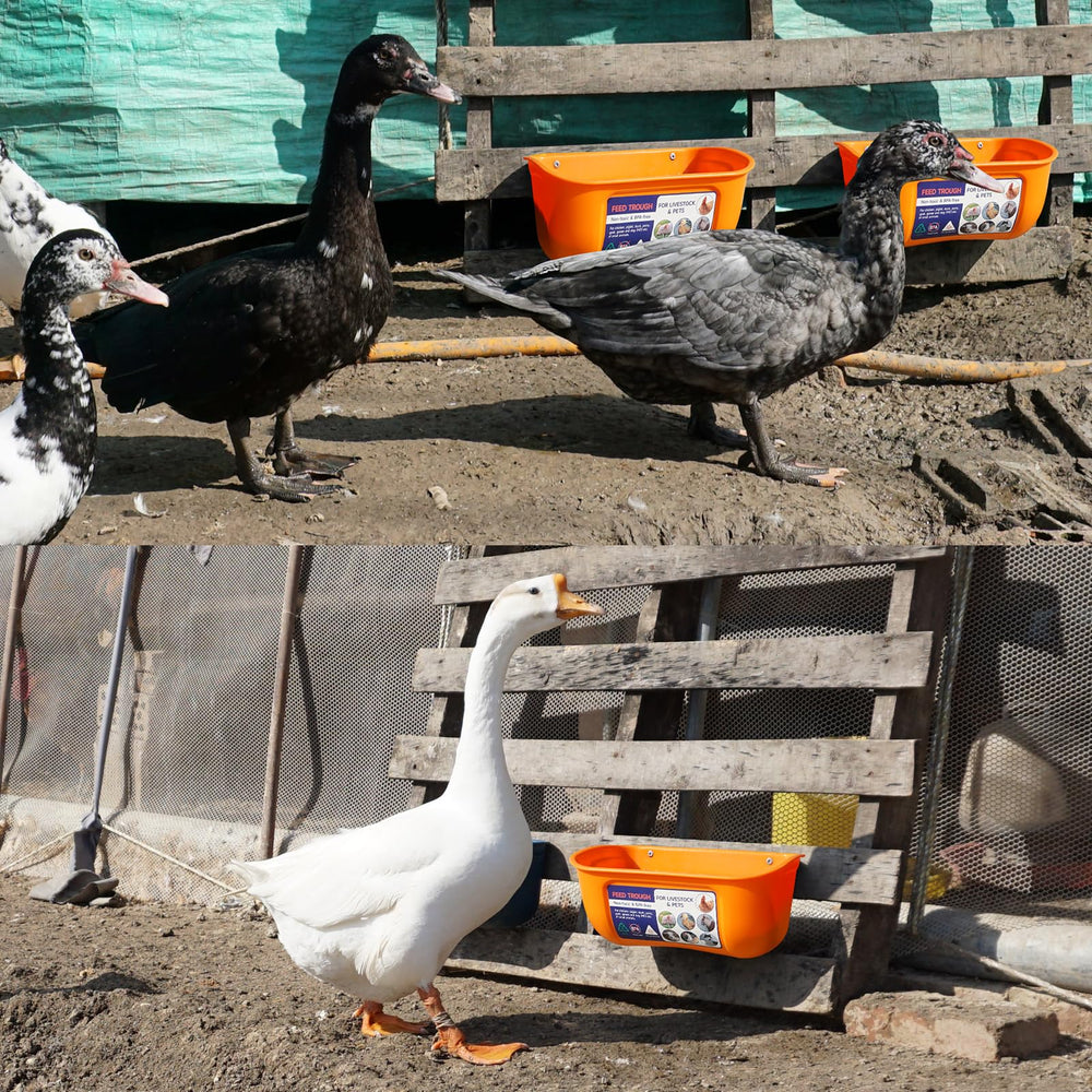 Goovilla Chicken Feeder Waterer 5 Quart Orange packaging