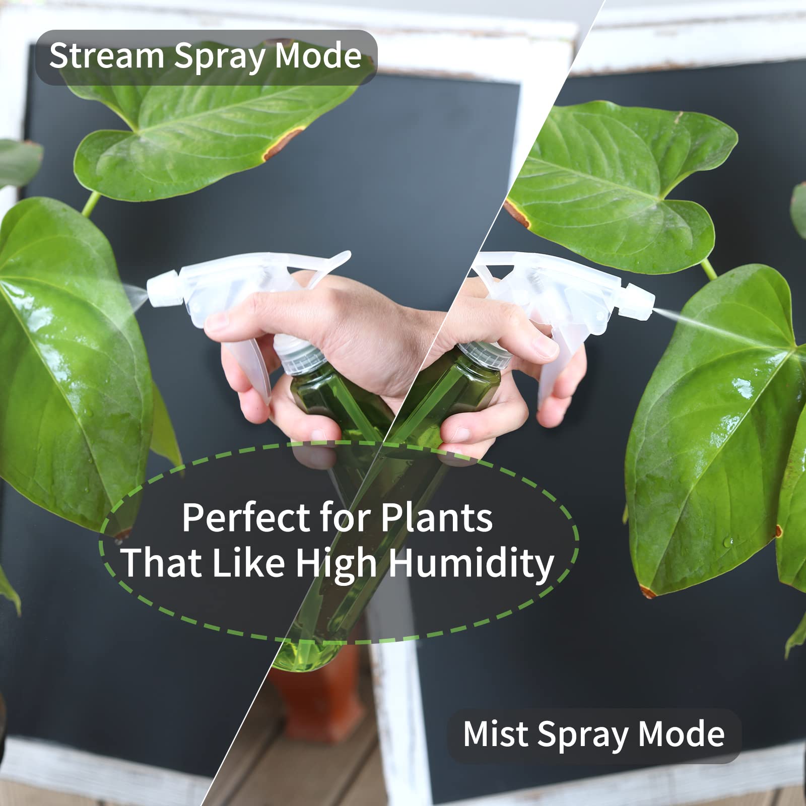 Goowin watering can set displayed with plants